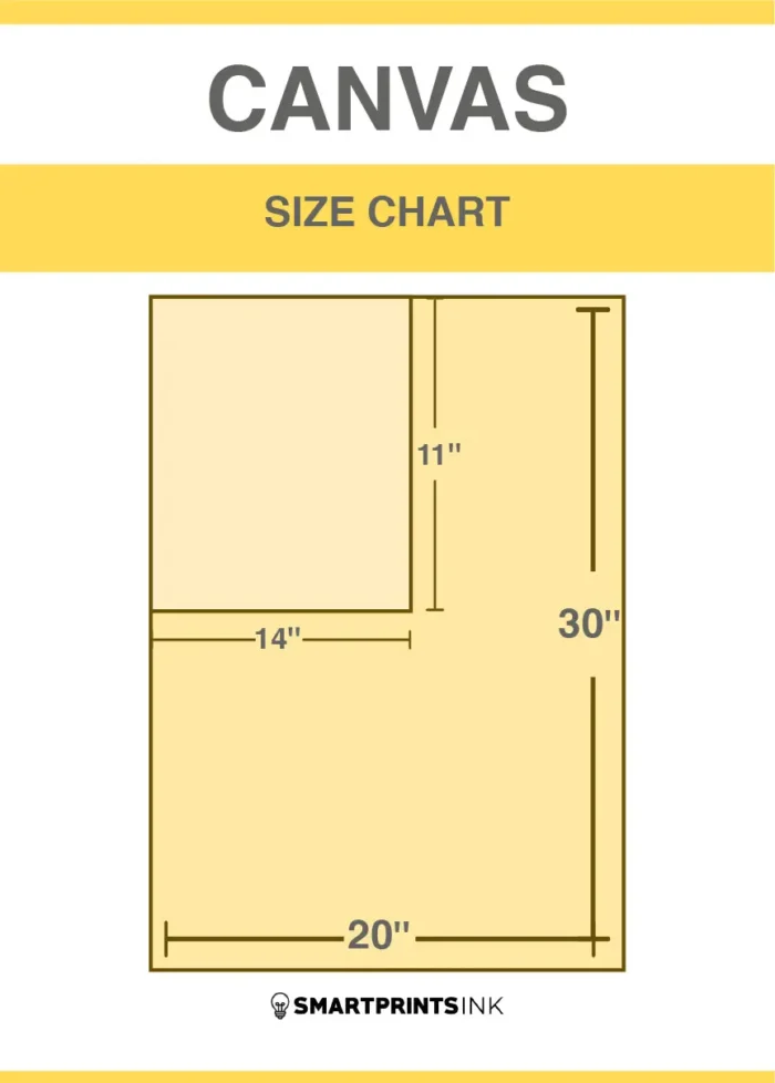 10253164 large